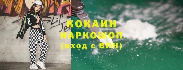 гашик Бородино