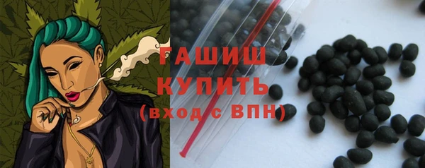 гашик Бородино