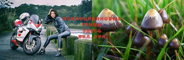 гашик Бородино