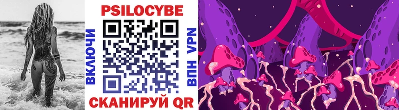 Купить  Муравленко  Галлюциногенные грибы Cubensis 